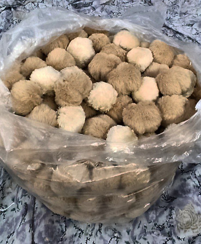 پم پم در رنگ و طرح های مختلف دونه ای ۵۰۰۰